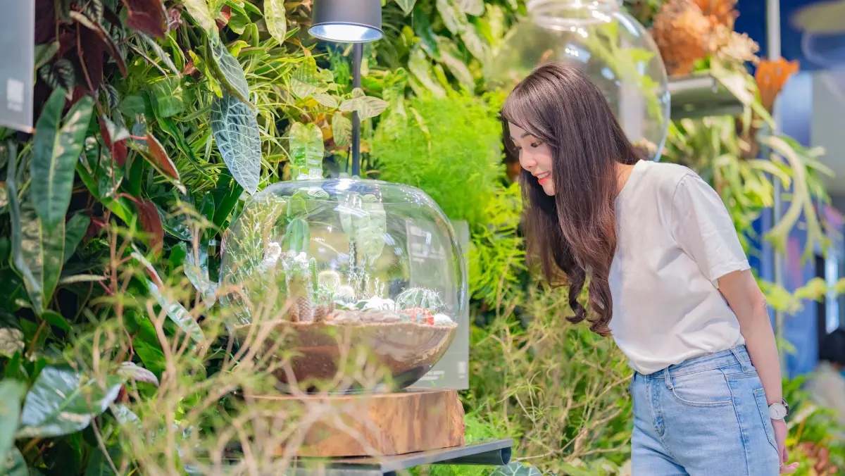 「大溪豆干節」結合植感生活！打造植感桃園品牌意象，拓展蔬食理念跨足植感生活領域