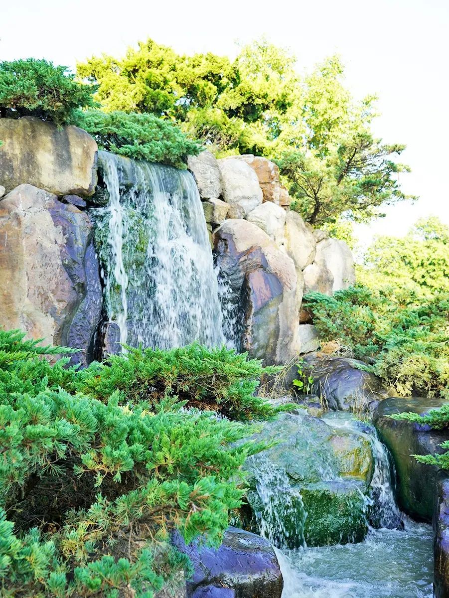 全台最大「玫瑰花園」免費拍!超過20種玫瑰接力綻放,1招免費換哈根達斯 全台最大「玫瑰花園」免費拍!超過20種玫瑰接力綻放,1招免費換哈根達斯