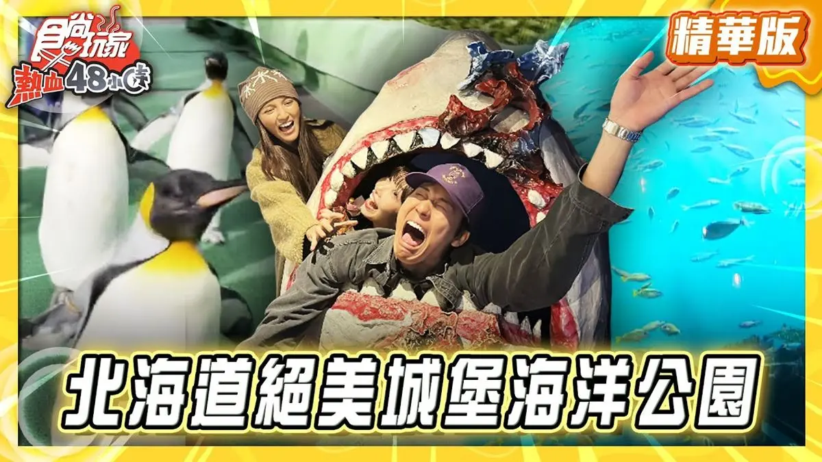 北海道必去「絕美城堡海洋公園」！《食尚玩家》推薦「登別尼克斯海洋公園」