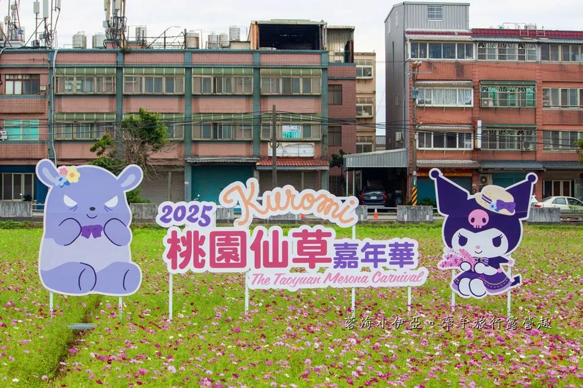 酷洛米出沒桃園!打卡夢幻「台版普羅旺斯」紫色花海,快閃16天免費拍 酷洛米出沒桃園!打卡夢幻「台版普羅旺斯」紫色花海,快閃16天免費拍