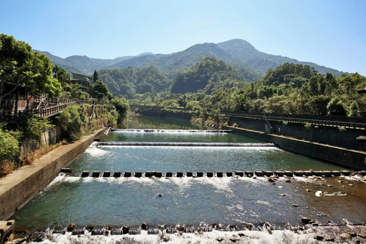 坪林美食之旅一日遊
