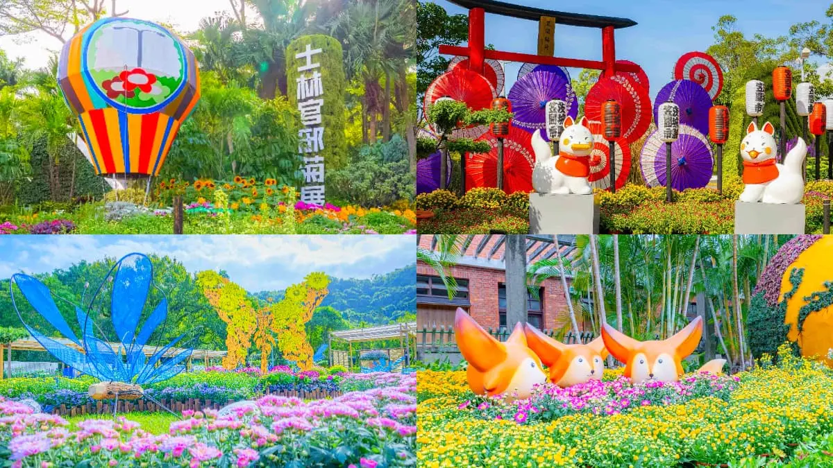 年末最強花海免費逛！「士林官邸菊展」15大展區搶先看，Q萌狐狸神社必拍