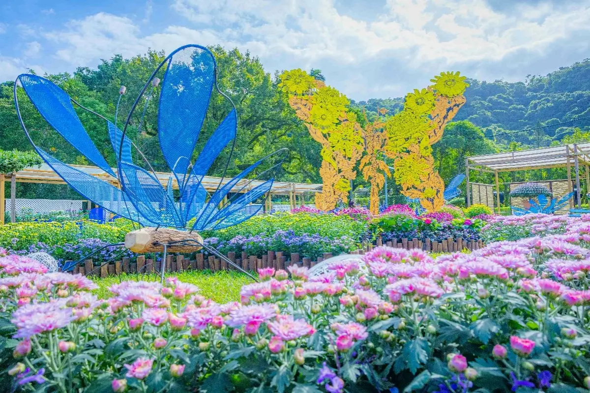 年末最強花海免費逛!「士林官邸菊展」15大展區搶先看,Q萌狐狸神社必拍 年末最強花海免費逛!「士林官邸菊展」15大展區搶先看,Q萌狐狸神社必拍