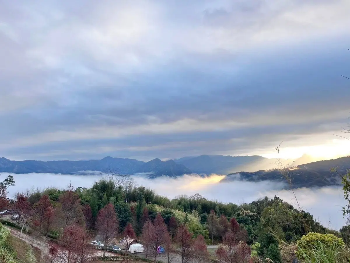秋冬限定！全台８大絕美落羽松露營秘境，紅葉、星空、溫泉一次滿足