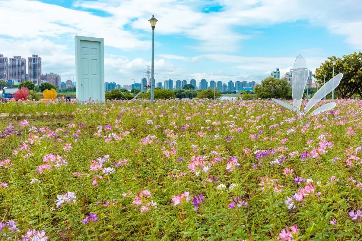 免費賞花景點!「台北中正河濱公園」花海倒數中,13萬盆彩色花朵綻放 免費賞花景點!「台北中正河濱公園」花海倒數中,13萬盆彩色花朵綻放