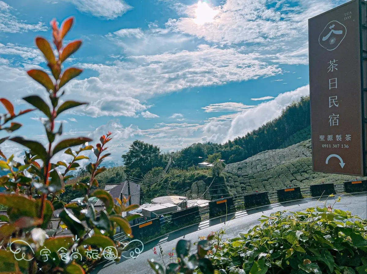 睡醒就是雲海！阿里山４家民宿「茶園第一排」看日出，加碼５間嘉義親子包棟玩瘋