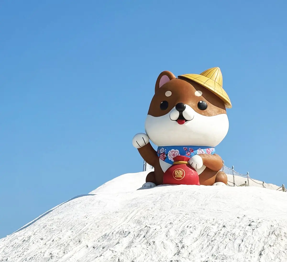 6公尺「巨大柴柴」出沒台南!打卡偽出國雪山美景,可愛柴犬遍布園區萌翻天 6公尺「巨大柴柴」出沒台南!打卡偽出國雪山美景,可愛柴犬遍布園區萌翻天
