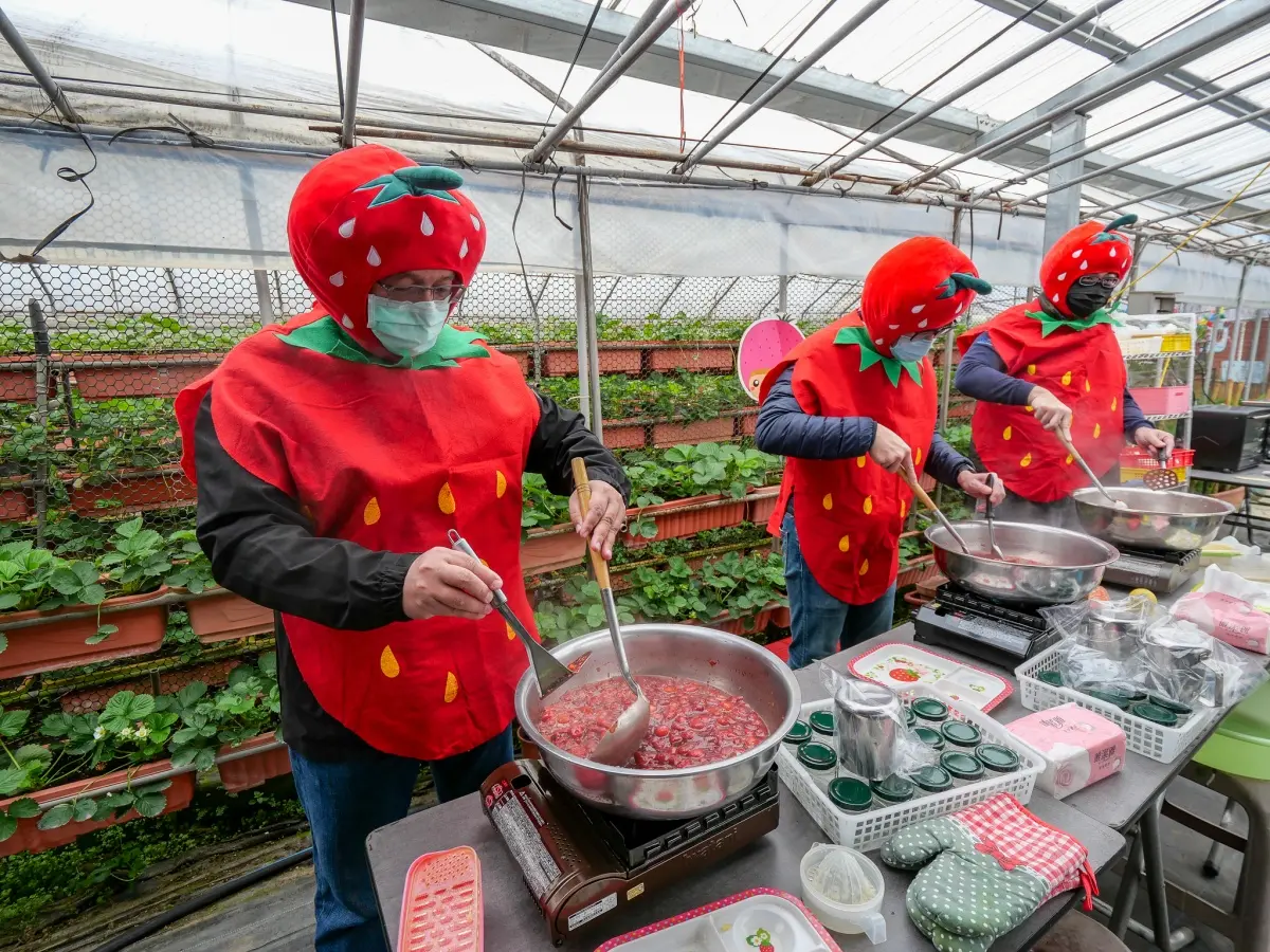 免踩泥巴下雨天也能去！６家好玩草莓園：DIY大福、超Q草莓裝、現烤桶仔雞