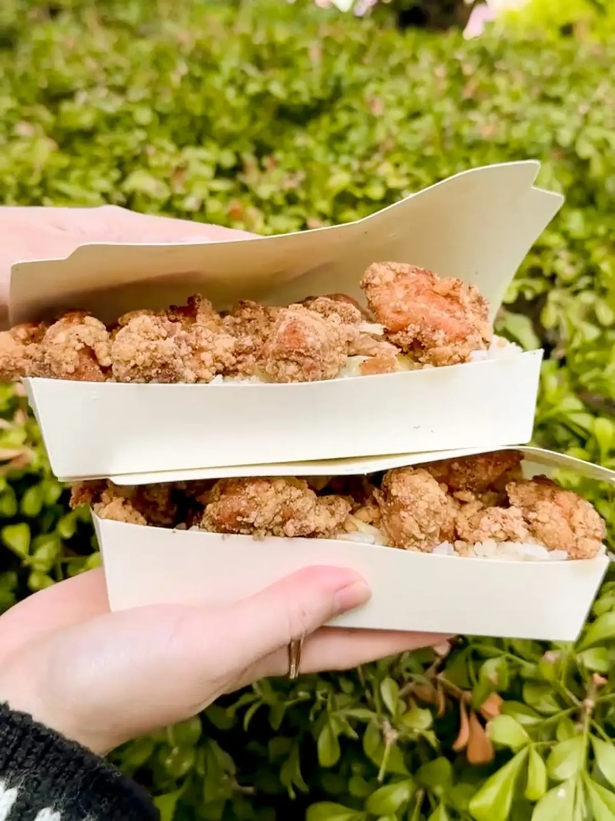 肉量炸裂!一中街隱藏版「炸雞山」百元有找,十塊炸雞堆滿看不到飯 肉量炸裂!一中街隱藏版「炸雞山」百元有找,十塊炸雞堆滿看不到飯