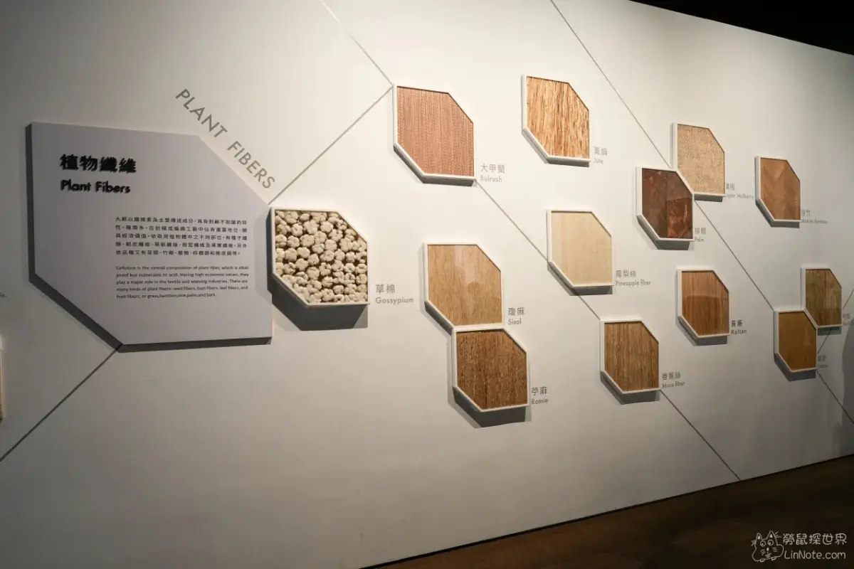 紙箱蓋出世界地標？台中10間超好拍觀光工廠：夢幻冰宮、巨型啤酒箱