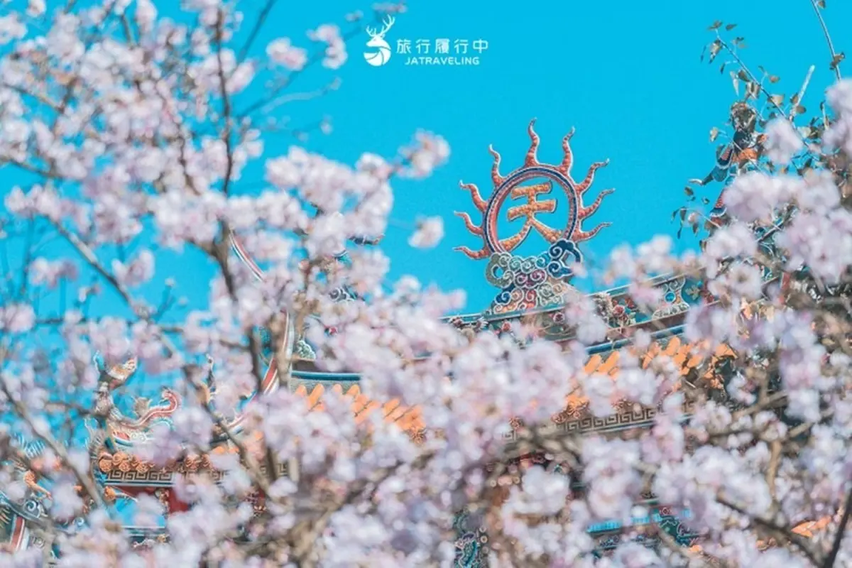 2026天元宮櫻花季懶人包!最新花況花期、交通方式、最佳賞花拍照點一次看 2026天元宮櫻花季懶人包!最新花況花期、交通方式、最佳賞花拍照點一次看