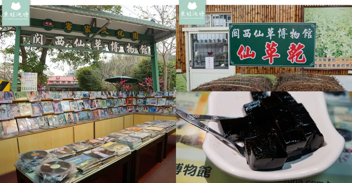 新竹景點推薦：關西仙草博物館