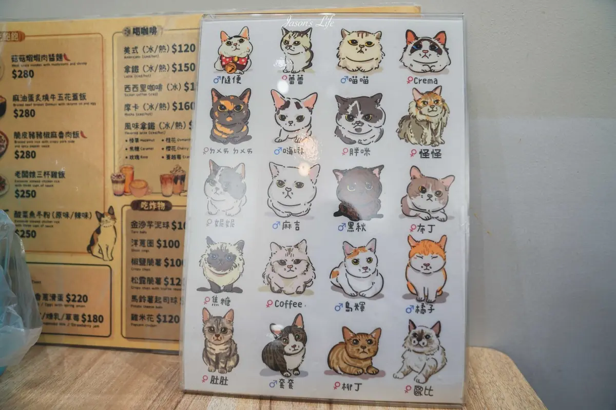 喵喵喵～貓「店」感應！全台吸貓路線公開，22家貓咪咖啡廳看完秒出發