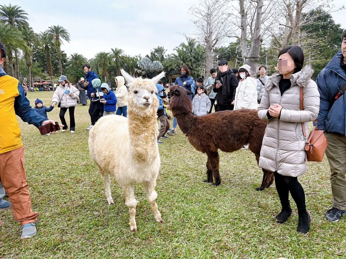 生肖「屬馬」免費玩!2月全台景點優惠、新春活動懶人包,寒假過年走春必看(中獎公布) 生肖「屬馬」免費玩!2月全台景點優惠、新春活動懶人包,寒假過年走春必看(中獎公布)