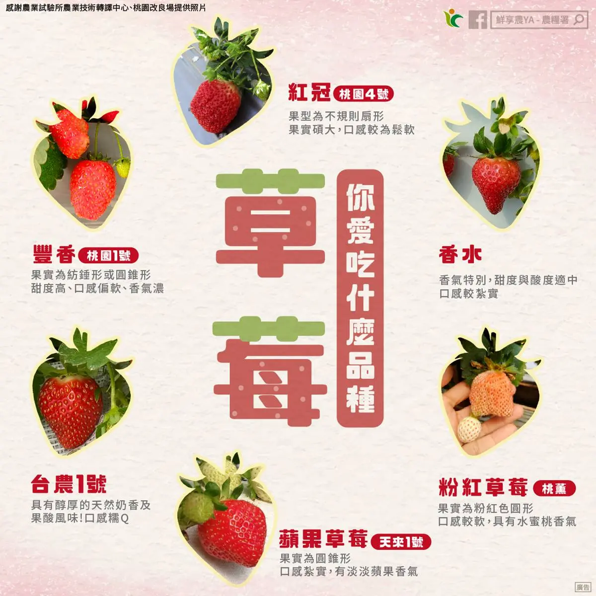 洗草莓不用加鹽巴！農業部曝３步驟去除農藥髒污，加碼保存挑選香甜草莓撇步