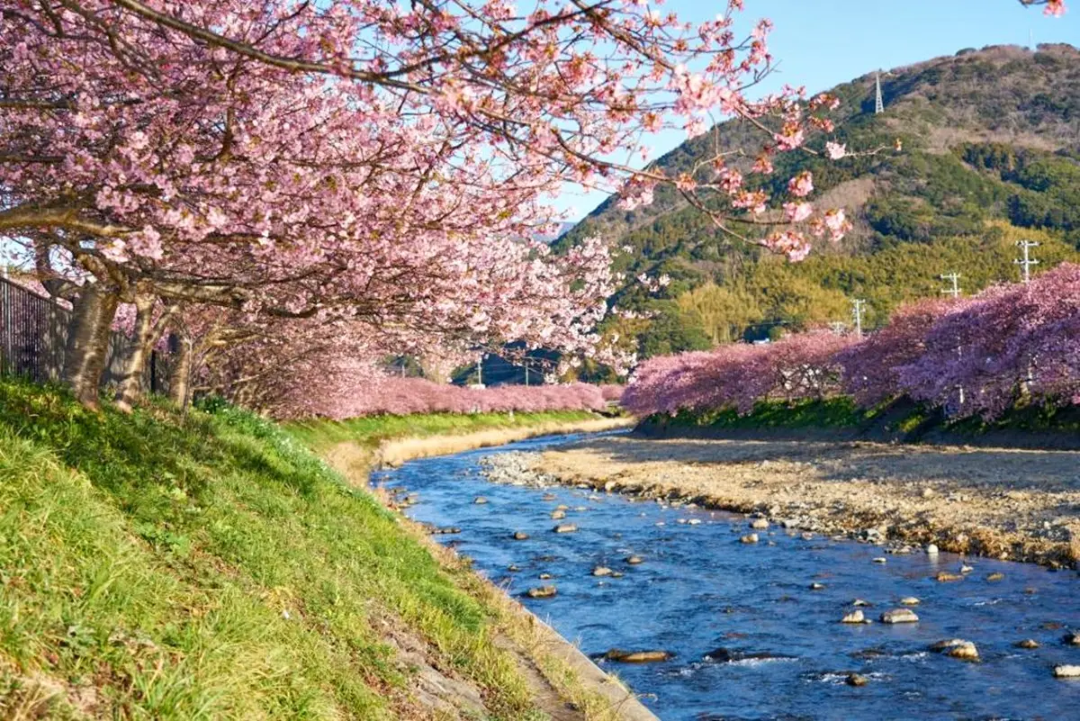 Klook買一送一手刀搶！２大旅遊平台「春旅優惠」，現折6666元、１折門票