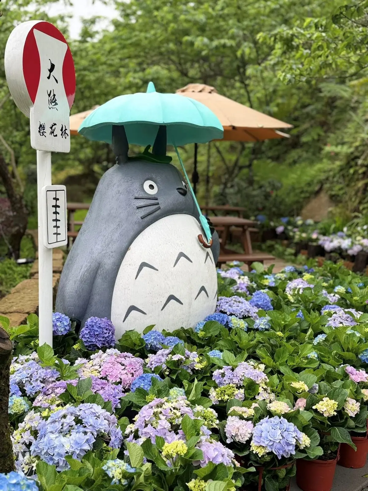 全台最大「夢幻紫藤花園」在新北!3月這天開放入園,加碼看櫻花+繡球祕境 全台最大「夢幻紫藤花園」在新北!3月這天開放入園,加碼看櫻花+繡球祕境