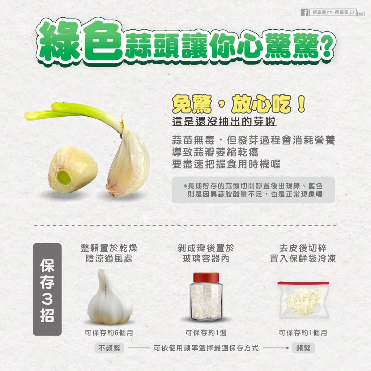 蒜頭發芽可以吃嗎？農業部籲出現１情況快丟掉，１招延長保鮮、別直接放冰箱