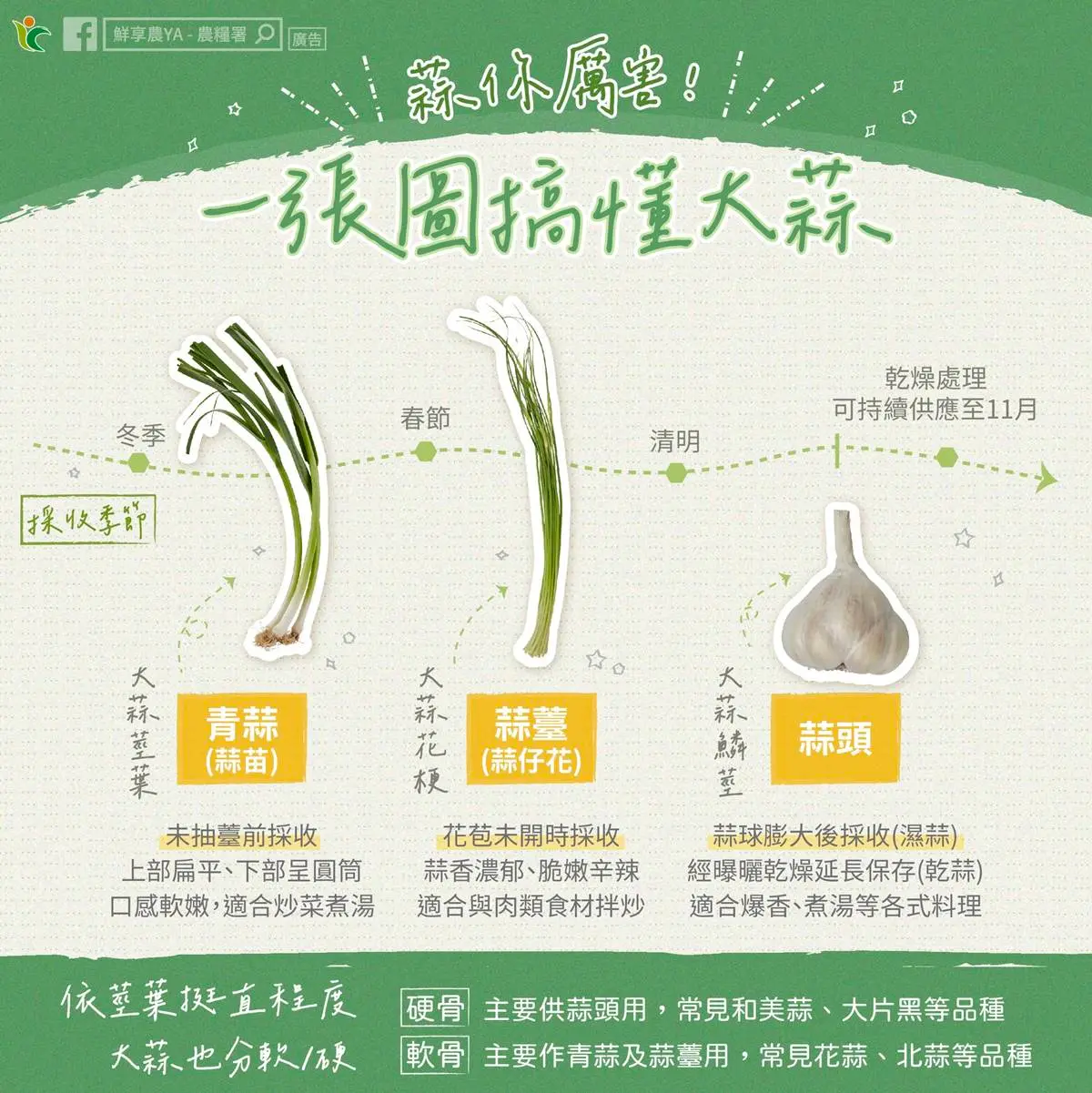 蒜頭發芽可以吃嗎？農業部籲出現１情況快丟掉，１招延長保鮮、別直接放冰箱