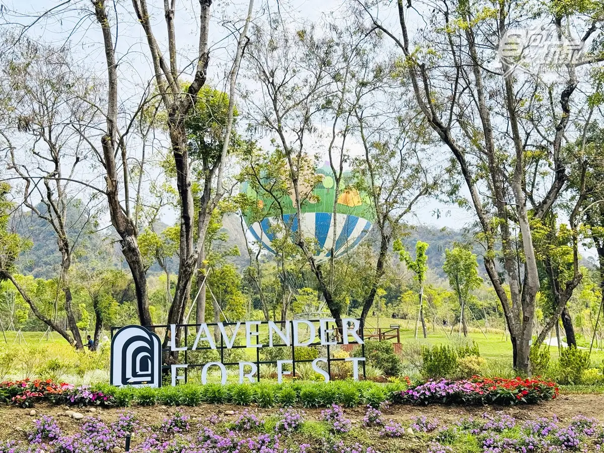 全台首座「氦氣球樂園」開箱！薰衣草森林九九峰：票價、必吃美食、設施介紹