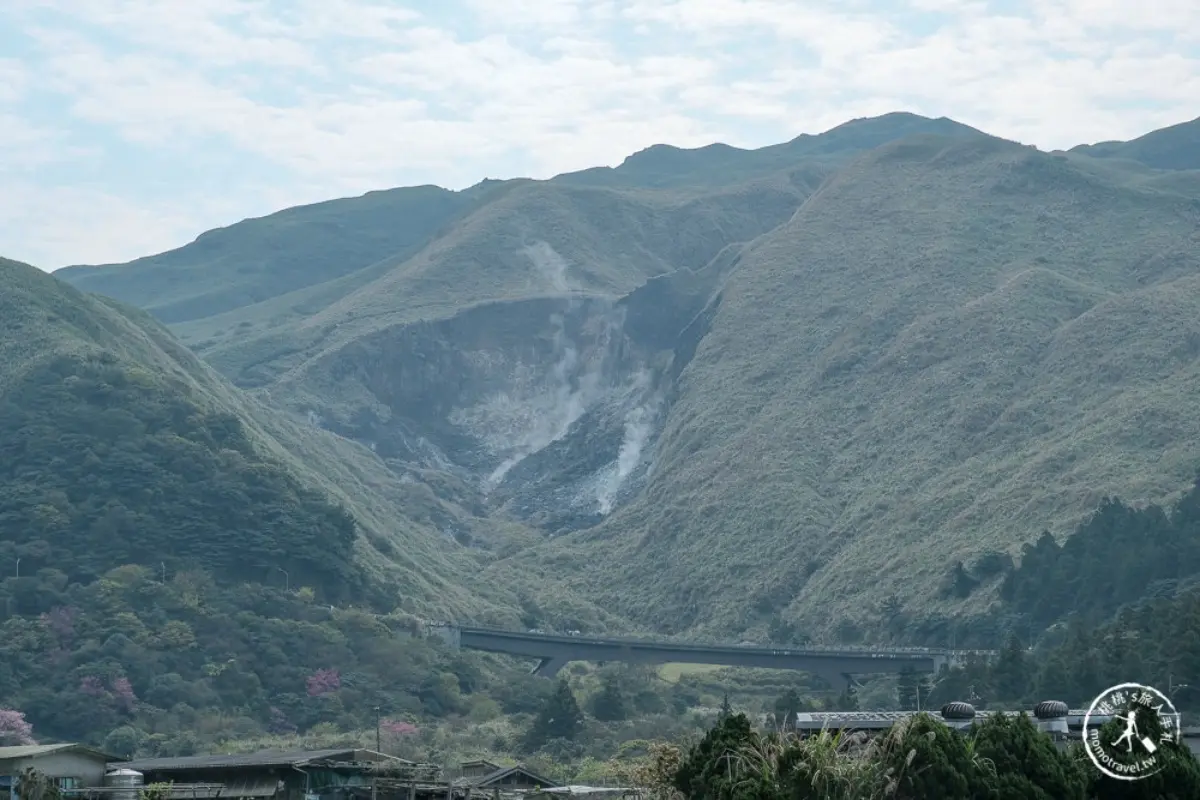 2026全台海芋地圖！桃園14萬株彩色花海美瘋，竹子湖、福壽山高山仙境一次看