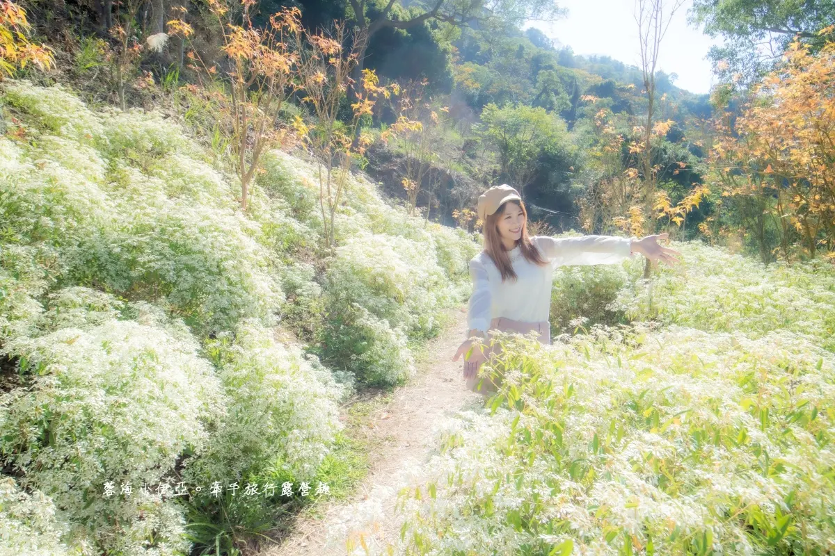 全台繡球花景點推薦：８千坪夢幻花海、山林秘境、歐式莊園小火車必打卡