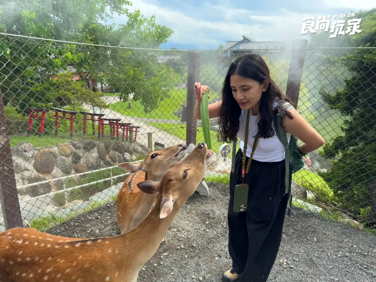 近距離互動水豚寶寶!入住宜蘭綠舞送斑比山丘門票+禮包,春季旅展優惠開搶 近距離互動水豚寶寶!入住宜蘭綠舞送斑比山丘門票+禮包,春季旅展優惠開搶