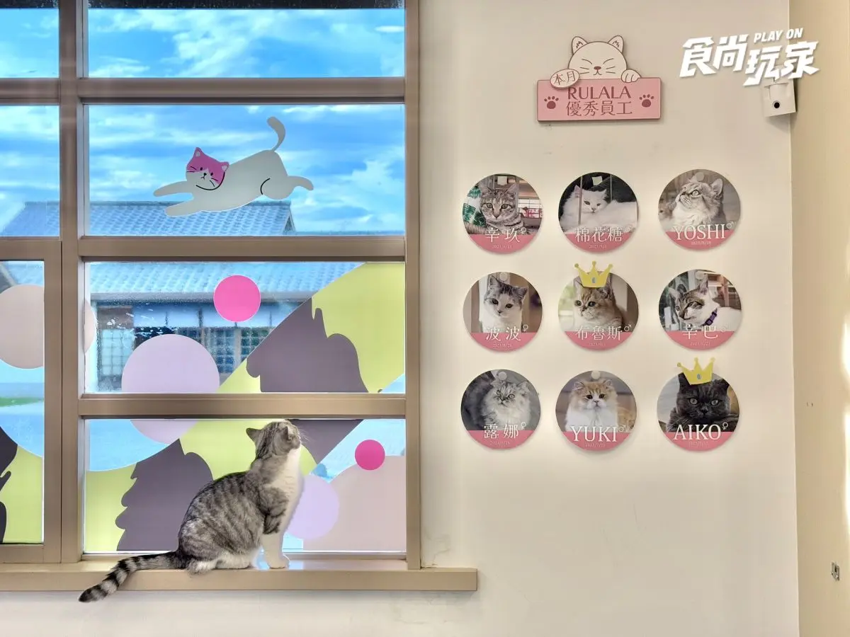 近距離互動水豚寶寶!入住宜蘭綠舞送斑比山丘門票+禮包,春季旅展優惠開搶 近距離互動水豚寶寶!入住宜蘭綠舞送斑比山丘門票+禮包,春季旅展優惠開搶