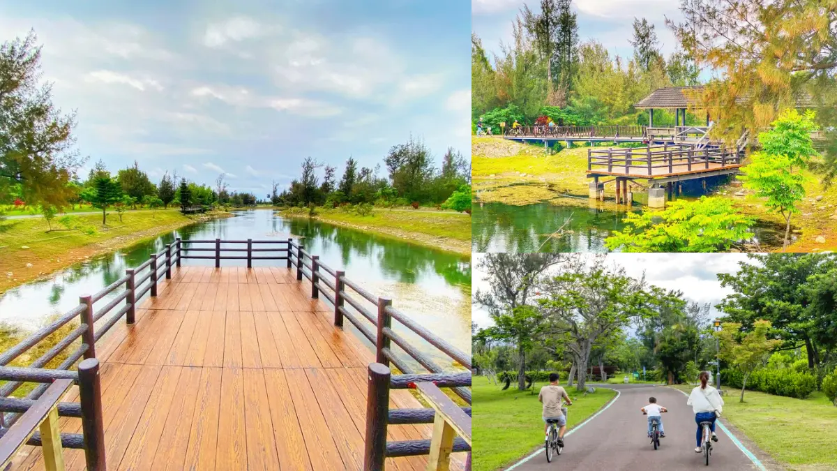 「台東森林公園」這天起免費入園！280公頃秘境暢遊，必衝琵琶湖、綠色隧道