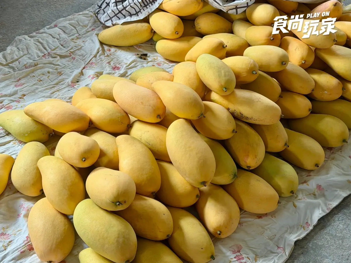 家樂福「芒果買2送1」快衝!愛文芒果價格「大腰斬」跌破百元,免費送金煌芒果 夏季最夯水果特價!農民親授「西瓜、芒果」挑選方式,口感+必吃推薦一次看