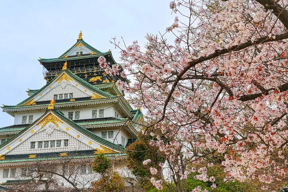 道頓堀、黑門市場都輸了！網友最愛大阪景點Top10，冠軍玩整天都不膩