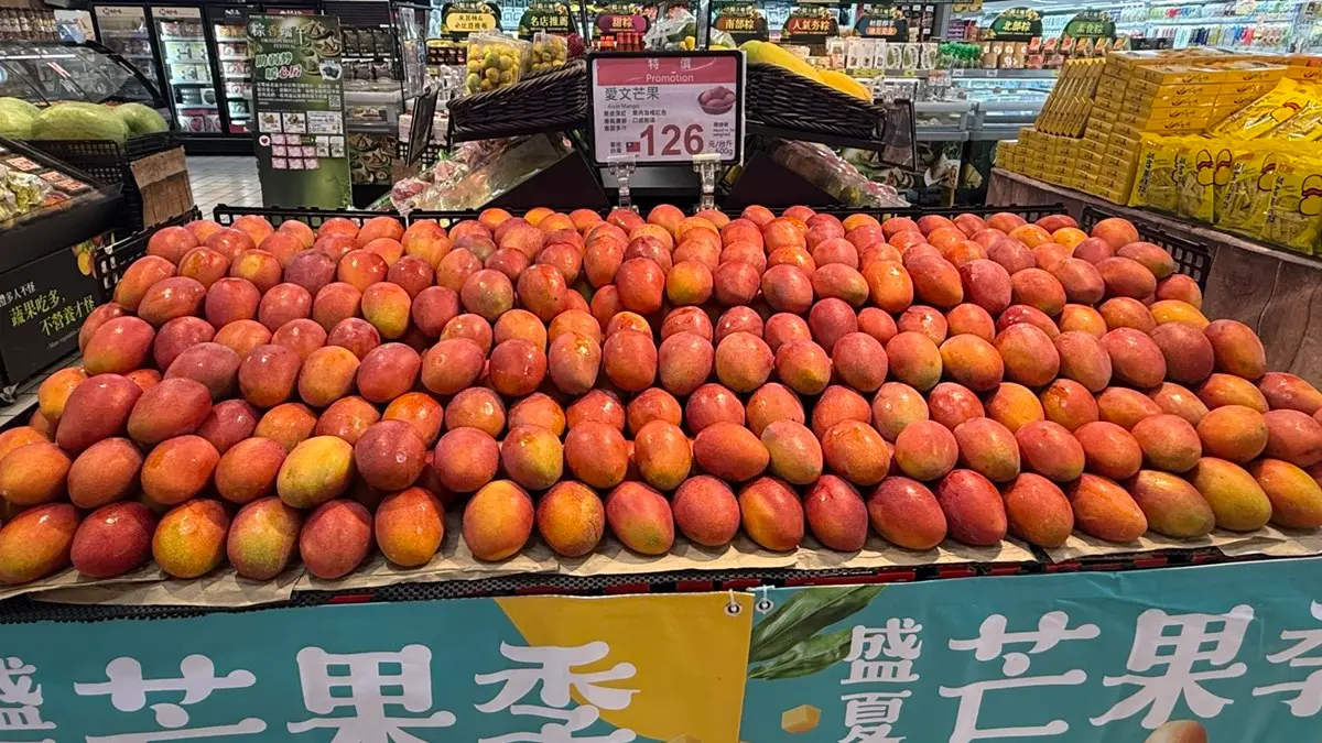 家樂福「芒果買2送1」快衝!愛文芒果價格「大腰斬」跌破百元,免費送金煌芒果 家樂福「芒果買2送1」快衝!愛文芒果價格「大腰斬」跌破百元,免費送金煌芒果