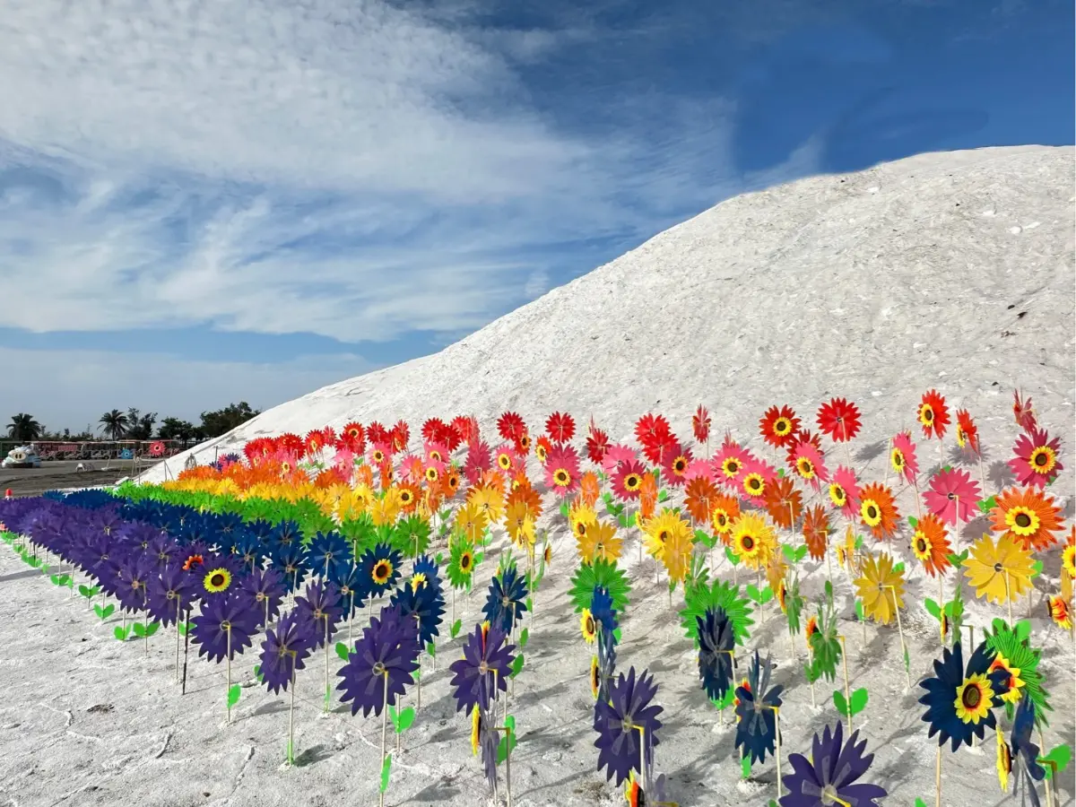 皮克敏聖地!七股鹽山「彩虹風車花海」爆紅,12處花菇點、稀有山丘皮克敏 皮克敏聖地!七股鹽山「彩虹風車花海」爆紅,12處花菇點、稀有山丘皮克敏