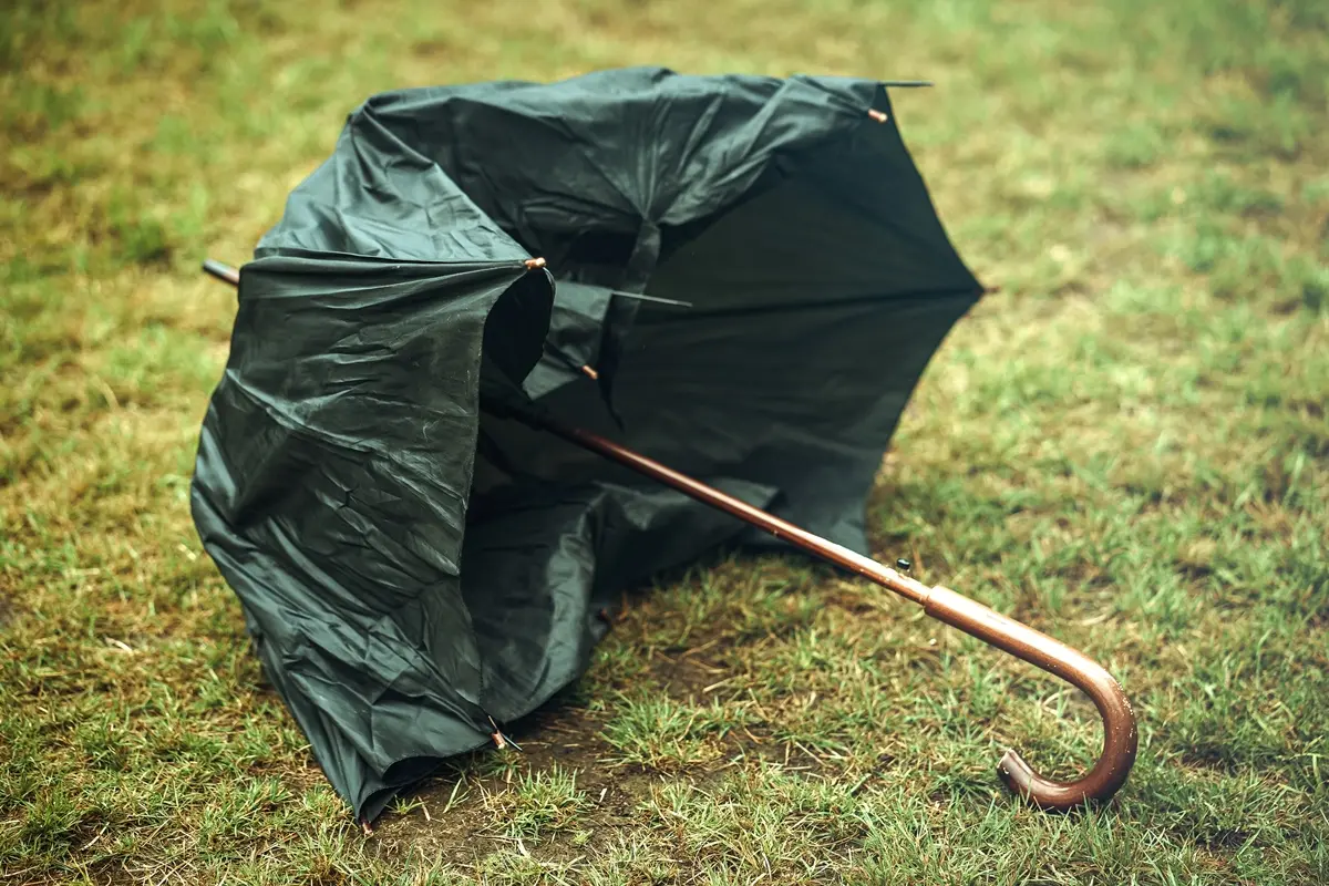 雨傘壞掉怎麼修？達人用１物幫傘延壽超牢固，加碼壞傘回收法做錯罰6000元