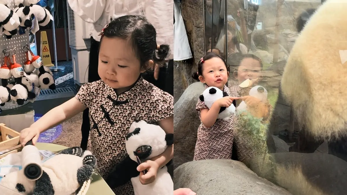 熊貓變大了！湘荷妹妹前進香港海洋公園