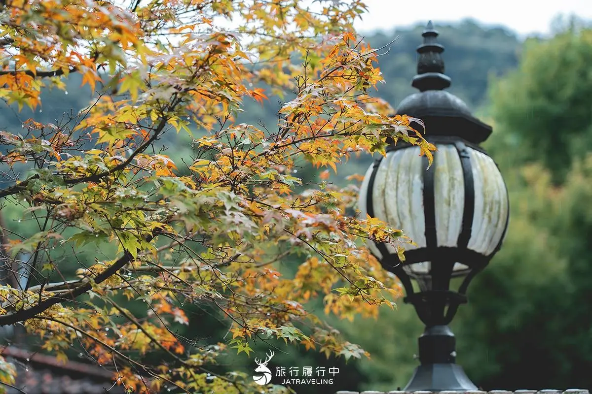 全民門票一律10元!避暑森林秘境「奧萬大」限時優惠,1樂園憑證件免費玩 全民門票一律10元!避暑森林秘境「奧萬大」限時優惠,1樂園憑證件免費玩