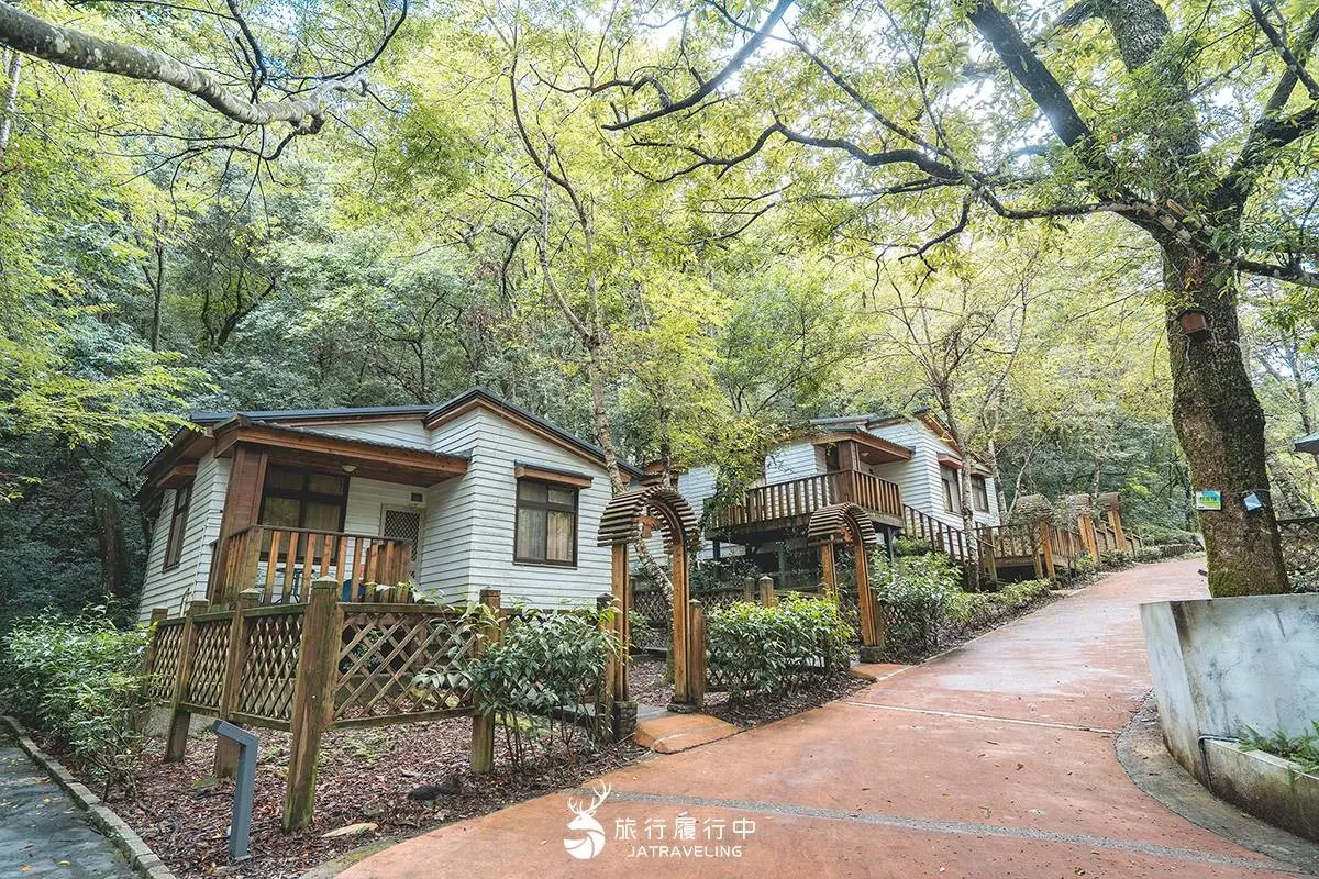 限時門票只要10元！夏季避暑秘境「奧萬大森林遊樂區」，走步道、看吊橋美景