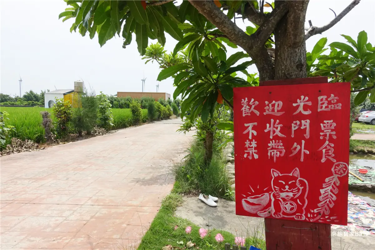 60元暢玩！生態農場免門票入場，摸蛤、撐竿划船、冷泉消暑一次滿足