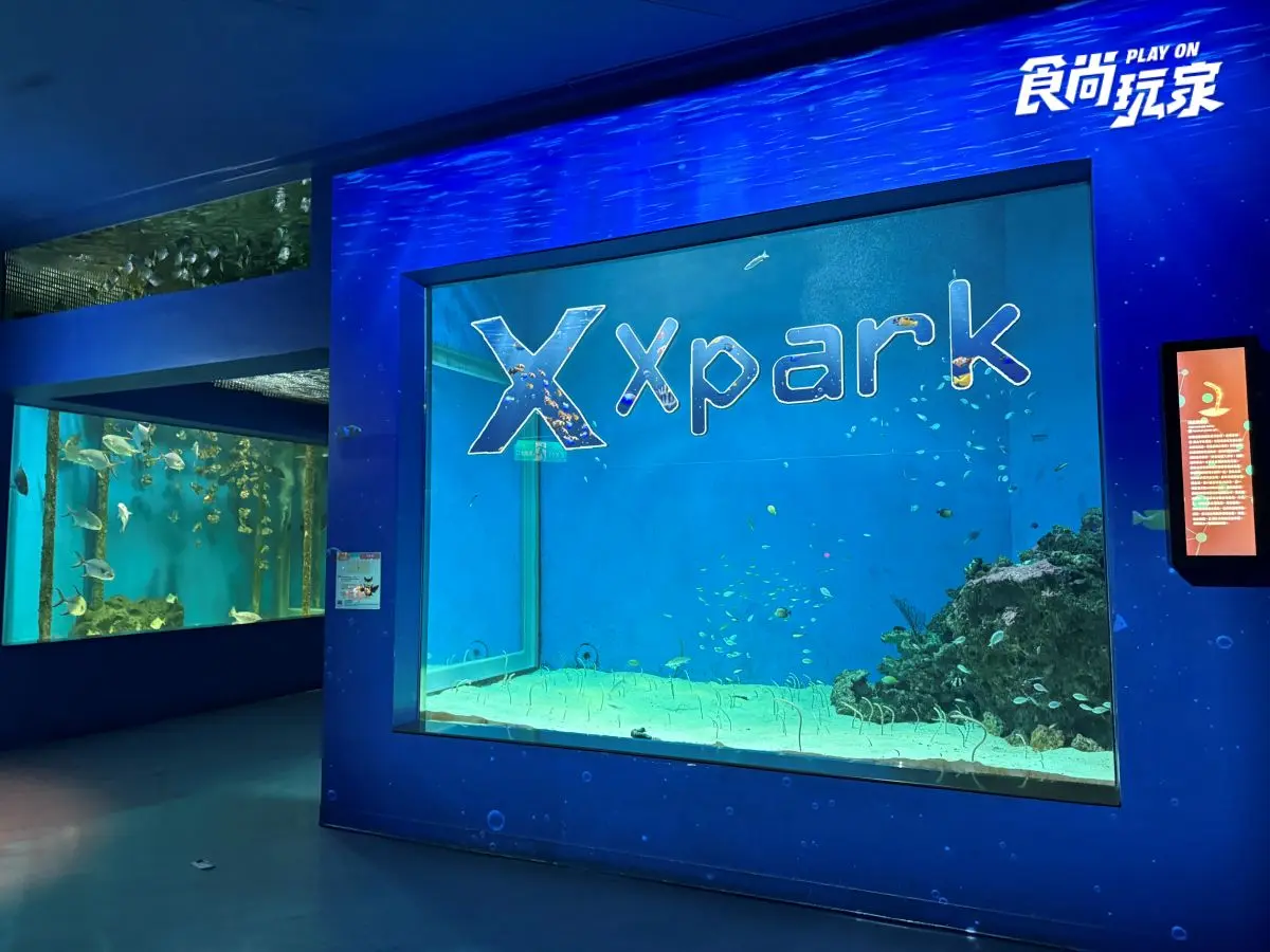 《動物森友會》角色出沒Xpark!免費玩任天堂遊戲機送貼紙,8折星光票回歸 《動物森友會》角色出沒Xpark!免費玩任天堂遊戲機送貼紙,8折星光票回歸