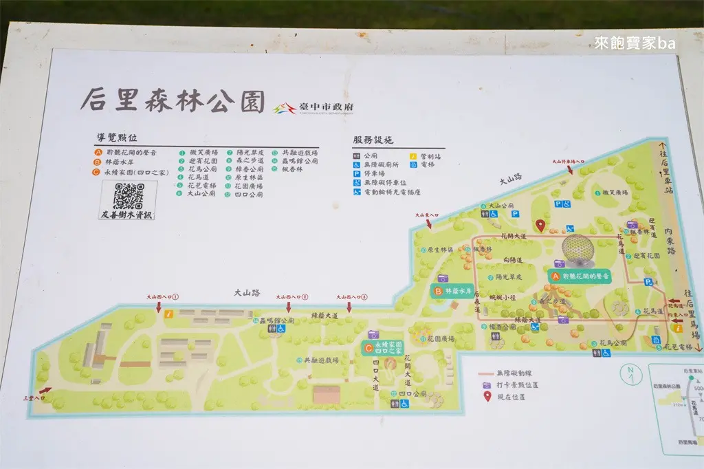 全台最大「搖籃遊戲場」免費玩!31座吊床、樹洞溜滑梯,森林系公園超放電 全台最大「搖籃遊戲場」免費玩!31座吊床、樹洞溜滑梯,森林系公園超放電