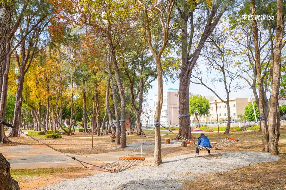 全台最大「搖籃遊戲場」免費玩!31座吊床、樹洞溜滑梯,森林系公園超放電 全台最大「搖籃遊戲場」免費玩!31座吊床、樹洞溜滑梯,森林系公園超放電