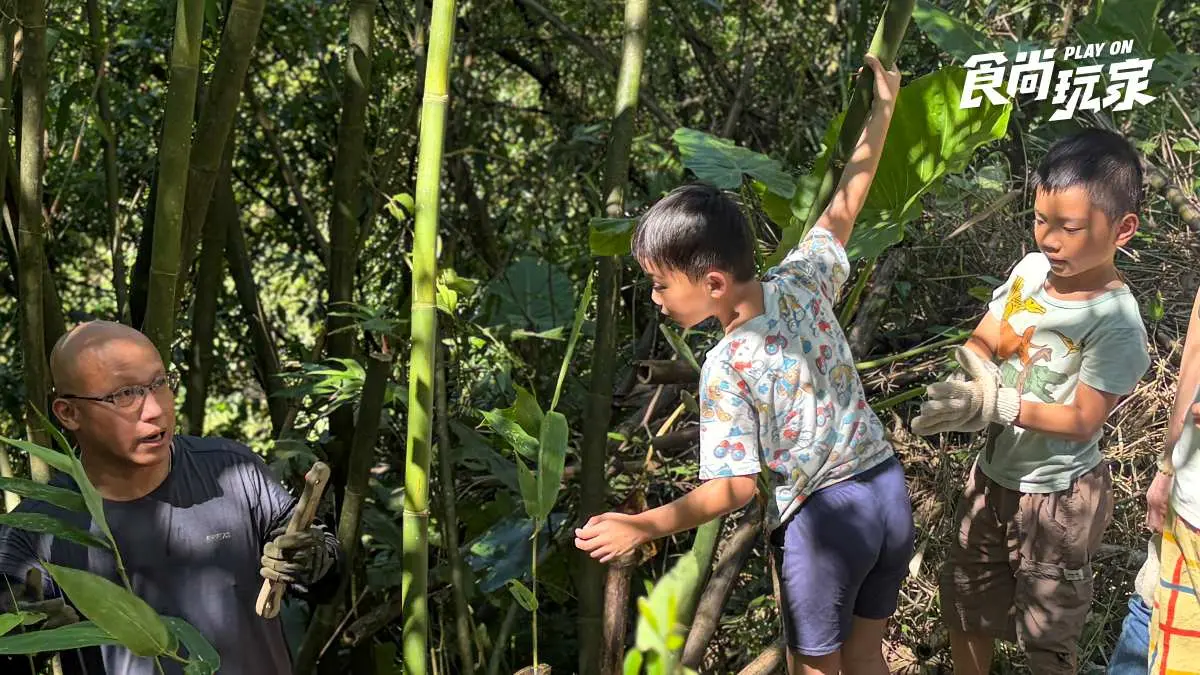 夏天就是要挖竹筍!走訪200年綠竹園農場,職人帶路砍竹子、DIY竹筒飯 夏天就是要挖竹筍!走訪200年綠竹園農場,職人帶路砍竹子、DIY竹筒飯
