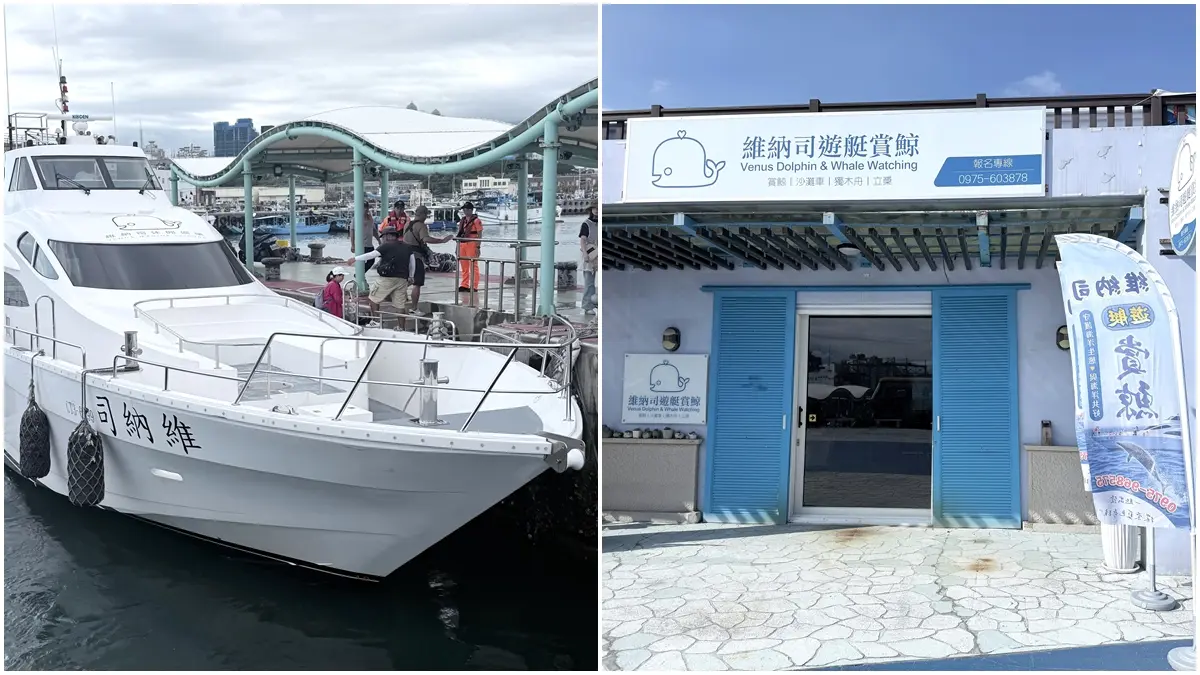 花蓮漁港15站攻略！追鯨、吃海鮮、玩魚市，一日玩遍黑潮海洋亮點