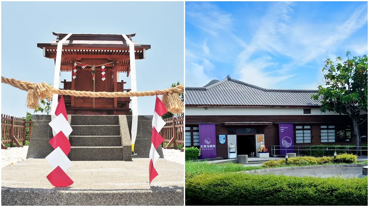 花蓮漁港15站攻略！追鯨、吃海鮮、玩魚市，一日玩遍黑潮海洋亮點