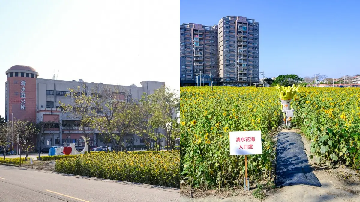 全台7大向日葵花海!1.2公頃免費花海、金黃落羽松秘境、紅色鐵橋同框 全台7大向日葵花海!1.2公頃免費花海、金黃落羽松秘境、紅色鐵橋同框