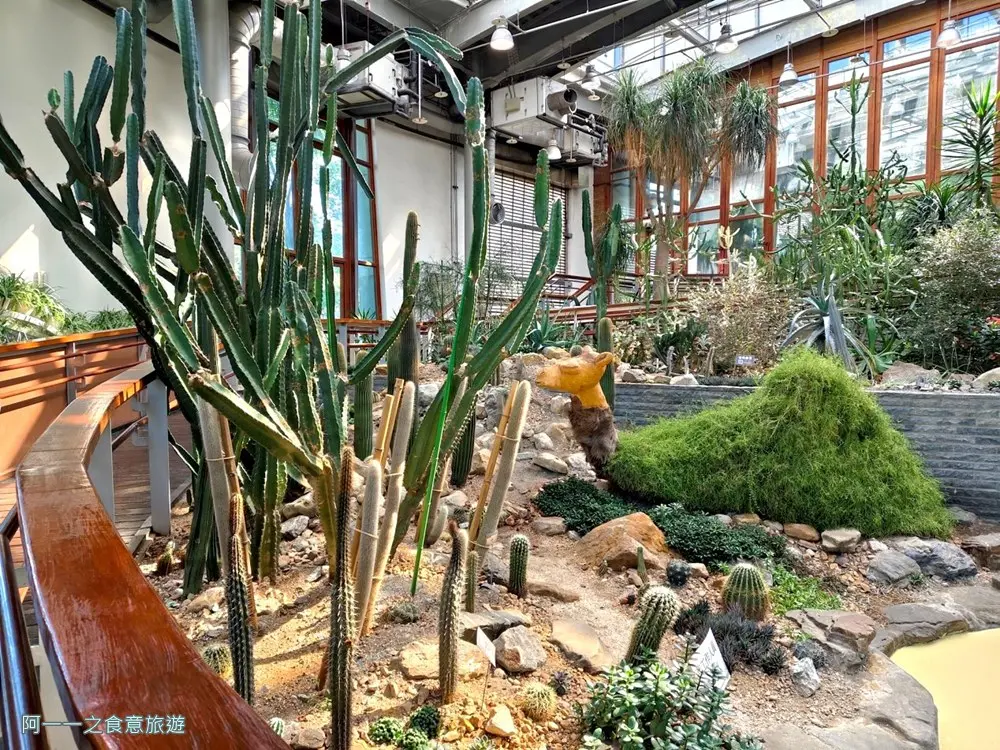 台北私房景點！這座植物園免門票、冷氣超強，外面有迷宮花園、巨型溜滑梯