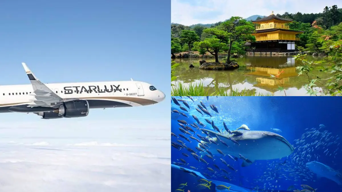 星宇航空９月機票優惠！熱門航點最高82折，日本直飛台中、高雄行程開賣