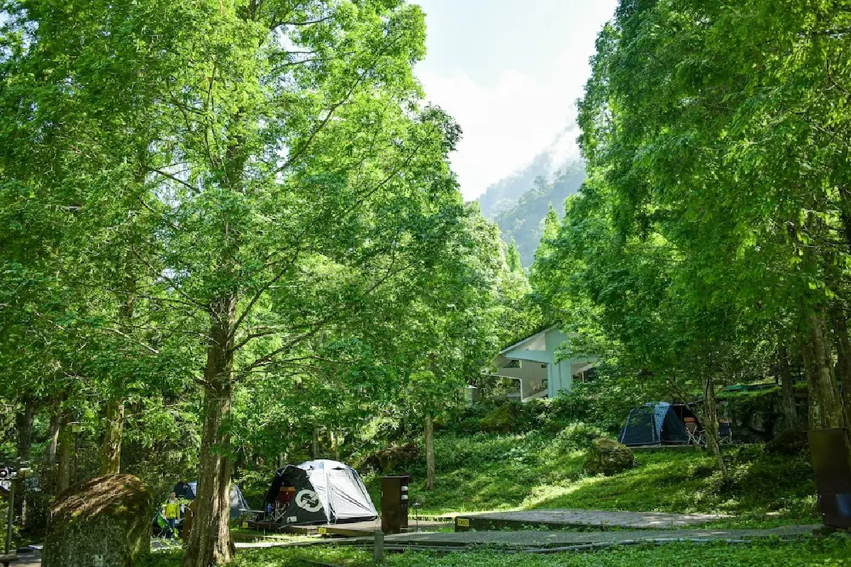 老屋變綠建築、智慧低碳露營！６間「綠生態永續」住宿推薦，投票抽住宿券