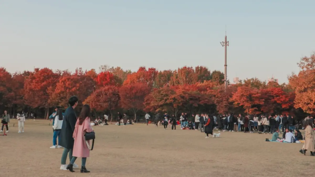 銀杏大道、宮殿紅葉！首爾10大賞楓秘境：「鬼怪」拍攝地、纜車美景一次收藏