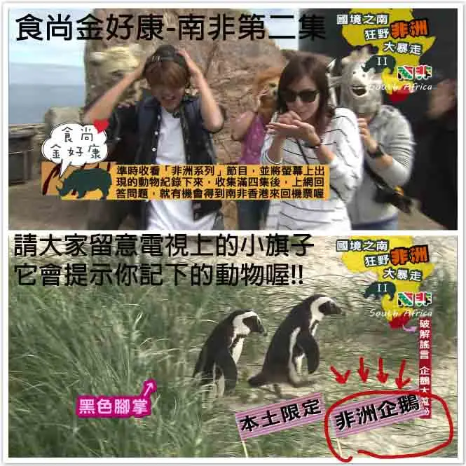 <食尚金好康> 國境之南 狂野非洲大暴走II